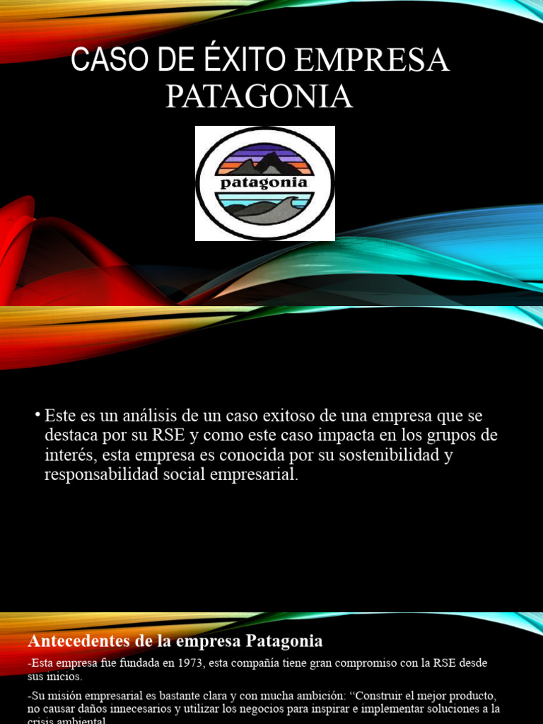 Caso De éxito Empresa Patagonia Pdf