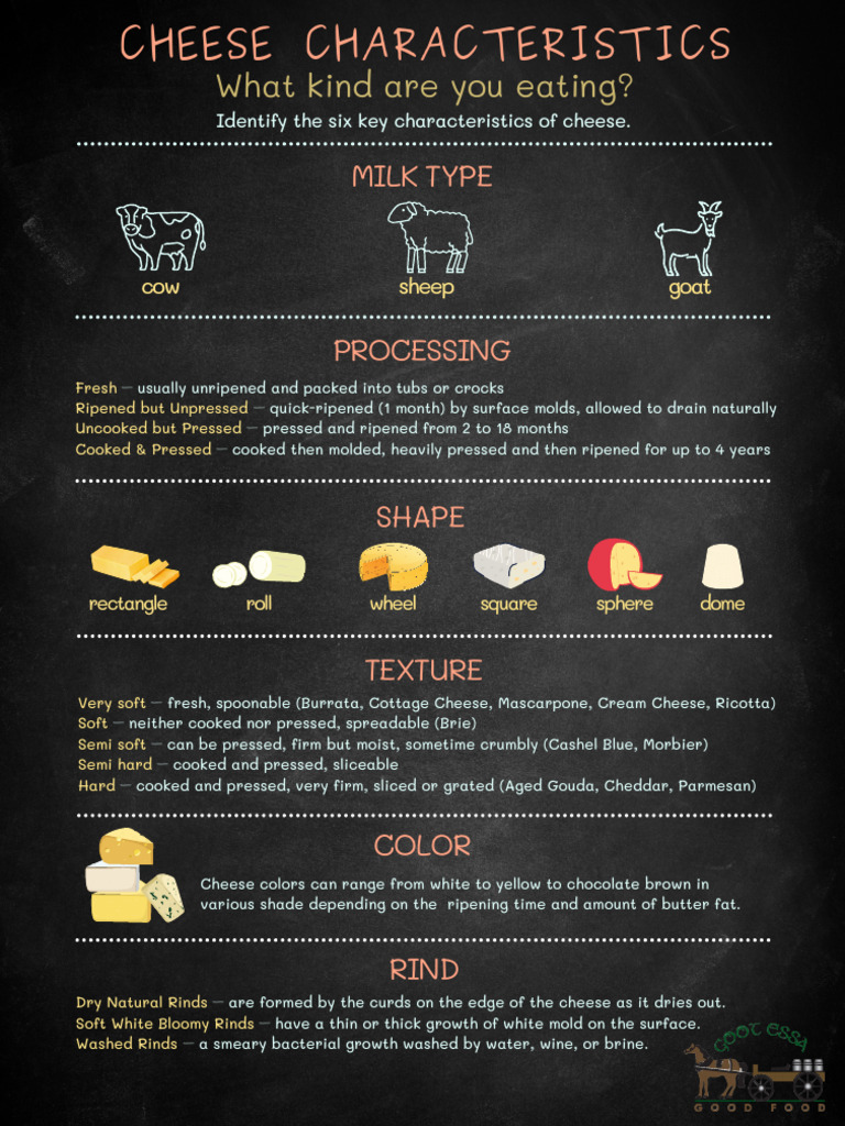 Cheese Characteristics Infographic 1 PDF