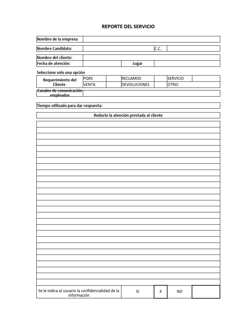Formato de Reporte de Servicio al Cliente | PDF