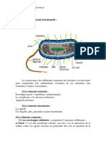 1.morphologie Et Anatomie Fonctionnelle Des Bactéries