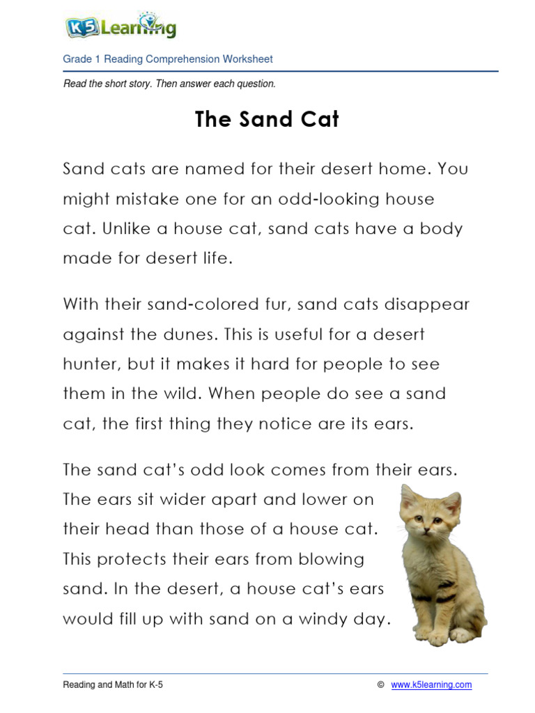 Grade 1 Story the Sand Cat | PDF