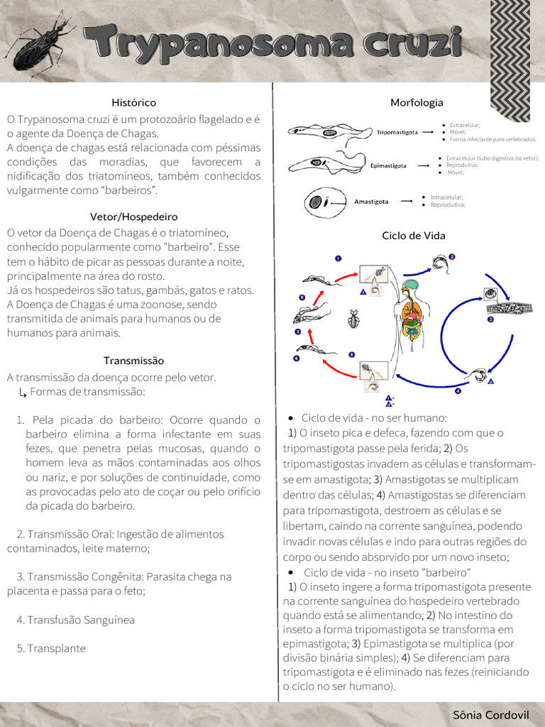 Trypanosoma Cruzi | PDF