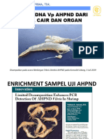 Isolasi DNA Bakteri VP AHPND Dari Media Cair Dan Organ