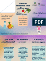 Brochure Prevención Del Estreñimiento