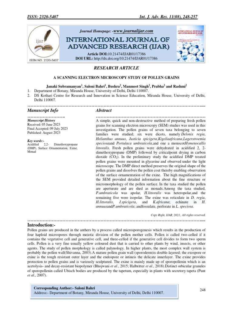 Scanning Electron Micrograph Images
