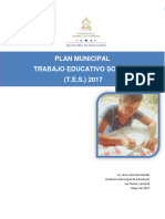 Las Flores Plan Municipal Tes 2017