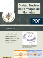 Seminário - Divisão Nuclear