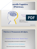 Orientación Práctica Permanencia Del Objeto