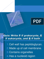 CEll Structures and Functions - SHS