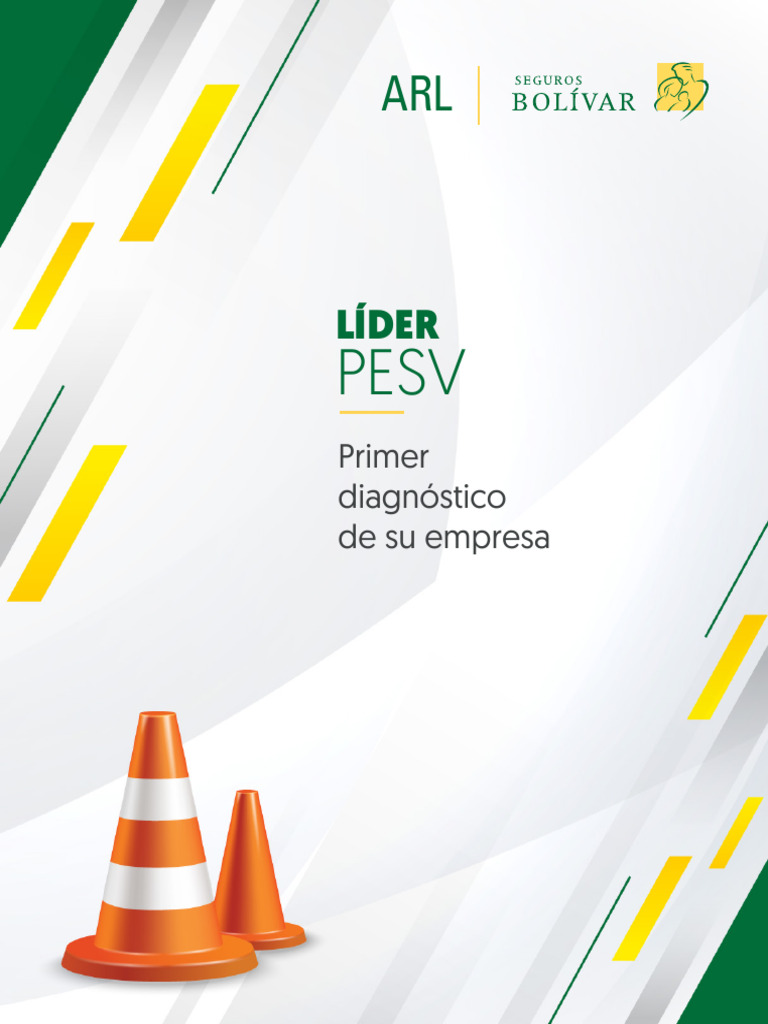 diagn-stico-pesv-pdf