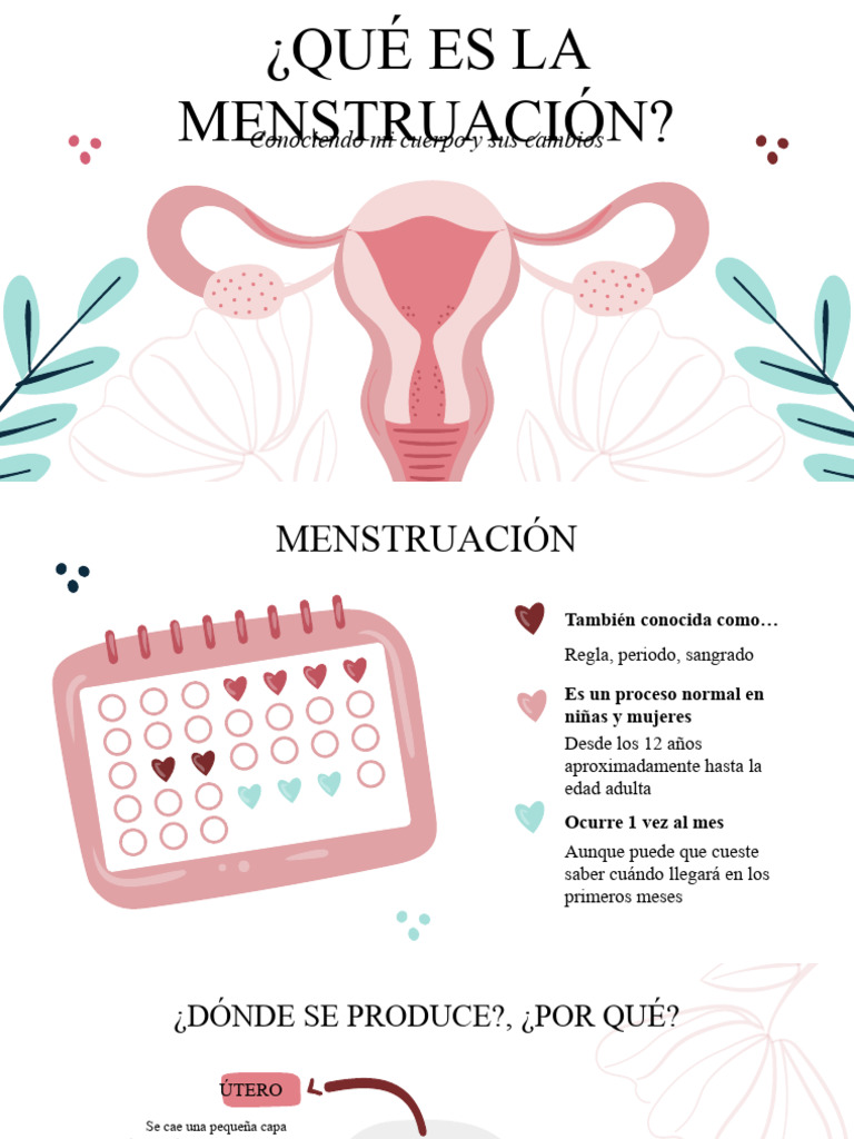 Guía sobre la Menstruación y Cuidados | PDF