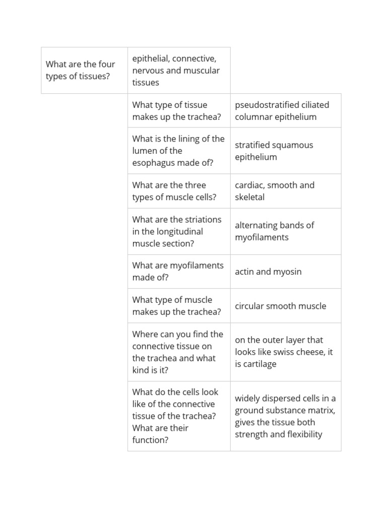 What Are The Four Types of Tissues PDF