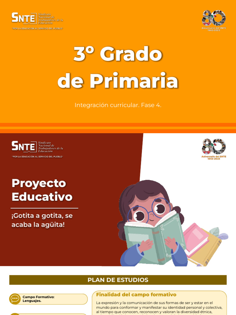 Proyectos Educativos para 3er Grado | PDF | Plan de estudios | Aprendizaje
