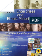Social Enterprises and Ethnic Minorities