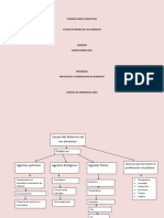 Mapa Conceptual