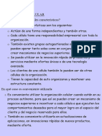 Introduccion A La Admin. Tarea