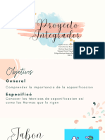 Proyecto Integrador