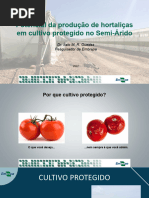 O Potencial Da Produção de Hortaliças em Cultivo Protegido No Semi-Árido