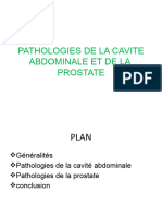 ASPECT ECHOGRAPHIQUE DES PATHOLOGIES DE LA CAVITE ABDOMINALE - Copie