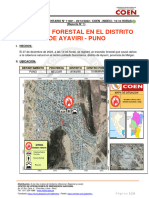 Reporte Complementario #11061 29dic2022 Incendio Forestal en El Distrito de Ayaviri Puno 1