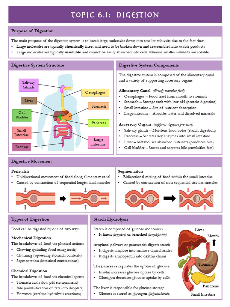 topic 6 biology IB 2023 PDF