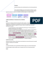 Diagnóstico, Clasificacion y Manejo Del Puerperio (Fisiologico y Patologico)