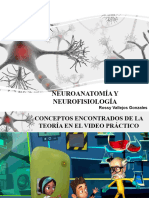 Neuroanatomía y Neurofisiología Tarea