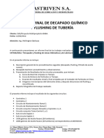 Dokumen.tips Reporte Decapado y Flushing Ejemplo