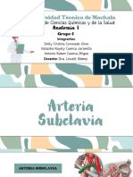 Arteria Subclavia