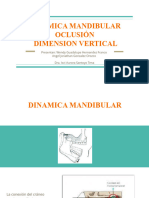 Dinamica Mandibular Oclusión Dimension Vertical (Autoguardado)