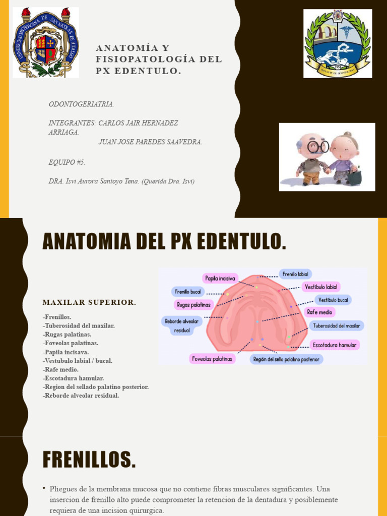 Copia de Anatomía y Fisiopatología Del PX Edentulo | Descargar gratis ...
