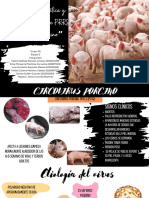 Revisión Bibliográfica y Clínico Del Síndrome PRRS Circovirus Porcino