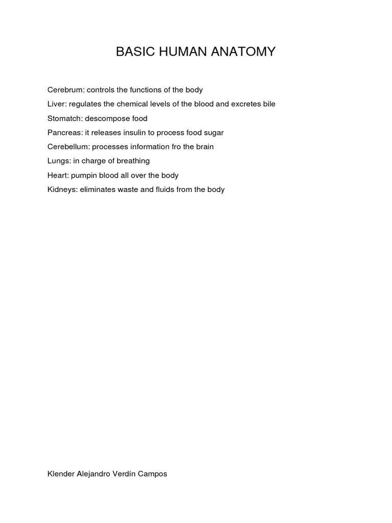 Overview of Basic Human Anatomy | PDF | Wellness