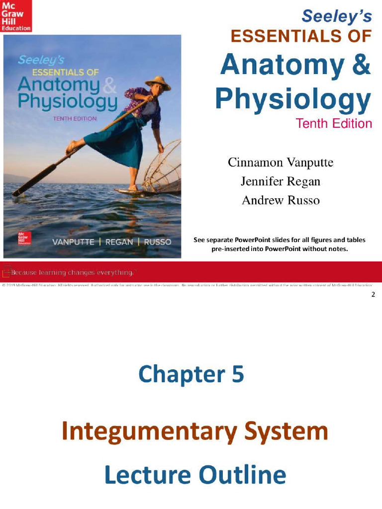 Chapter 5 Integumentary System Pdf