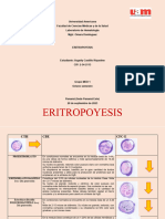 ERITROPOYESIS