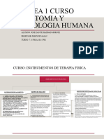 Tarea 1 Curso Anatomia y Fisiologia Huaman-Jose Dante Haddad Morote