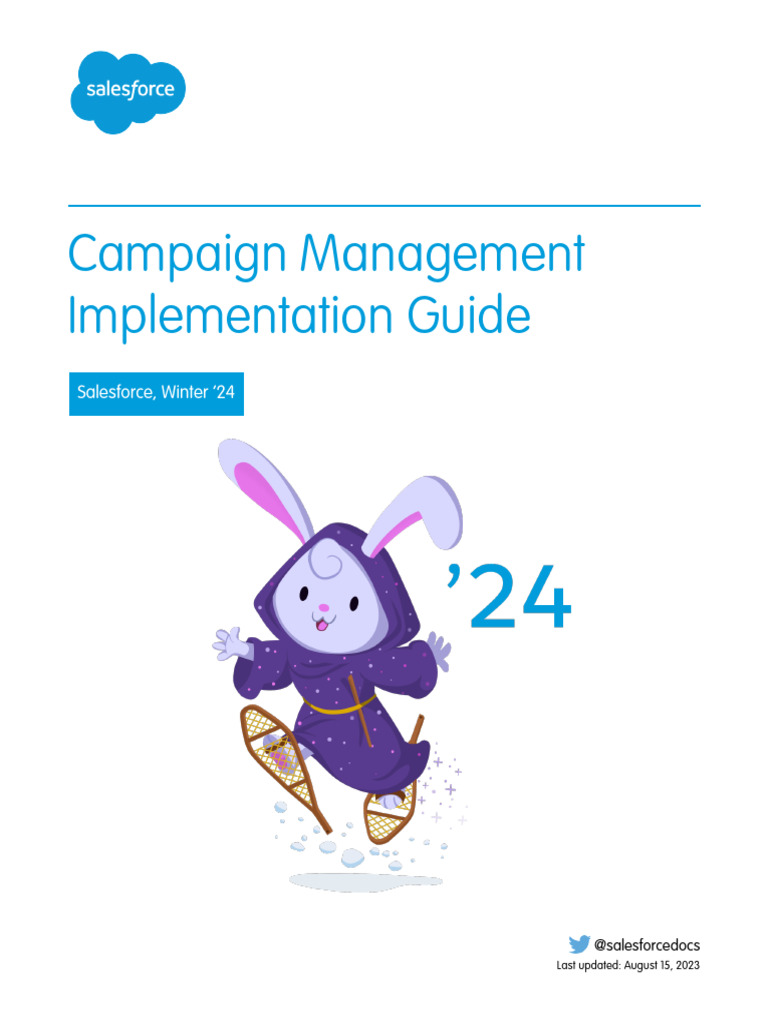Salesforce Campaign Implementation Guide PDF Advertising Marketing