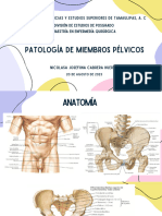 Patología de Miembros Pélvicos