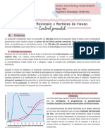 Embarazo, Fisiología y Factores de Riesgo. Control Prenatal