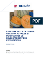 Melon Guinée Filière 2006