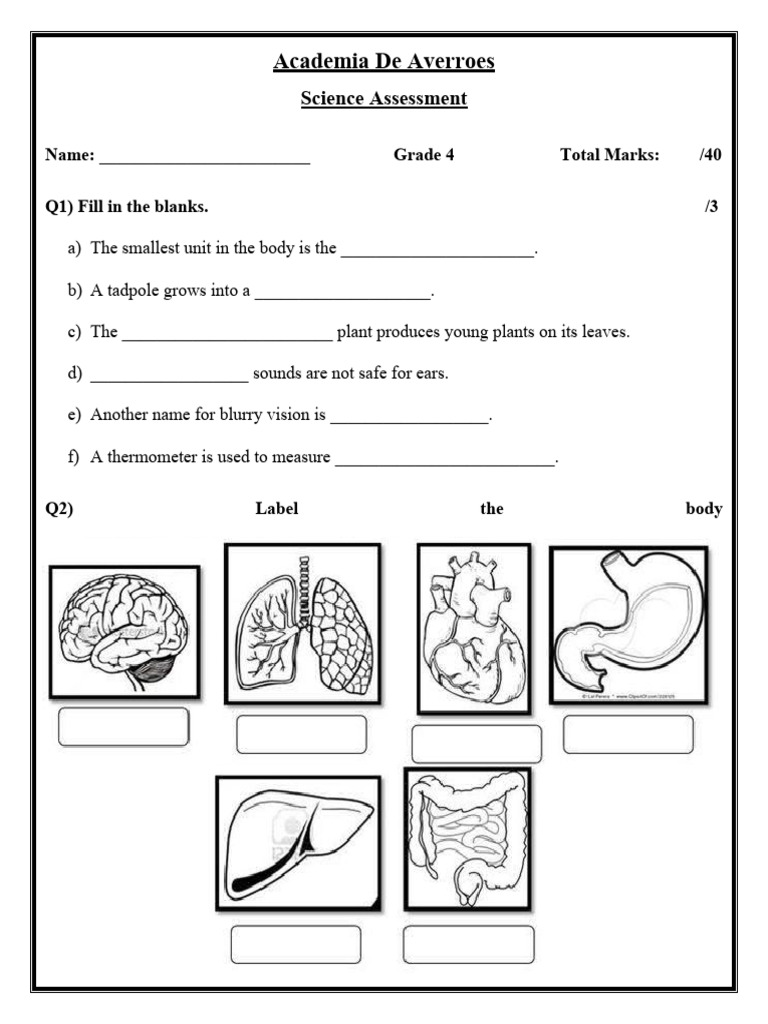 grade-4-science-assessment-pdf