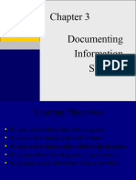 Documenting Information Systems