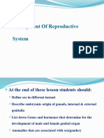 Development of Reproductive System