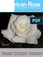 American Rose January - February 2014