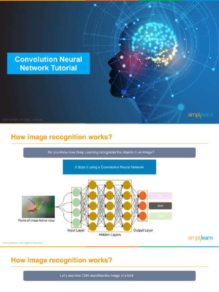 Convolution Neural Network | PDF