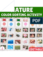 Nature Color Sorting Activity
