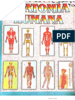 Anatomía Humana