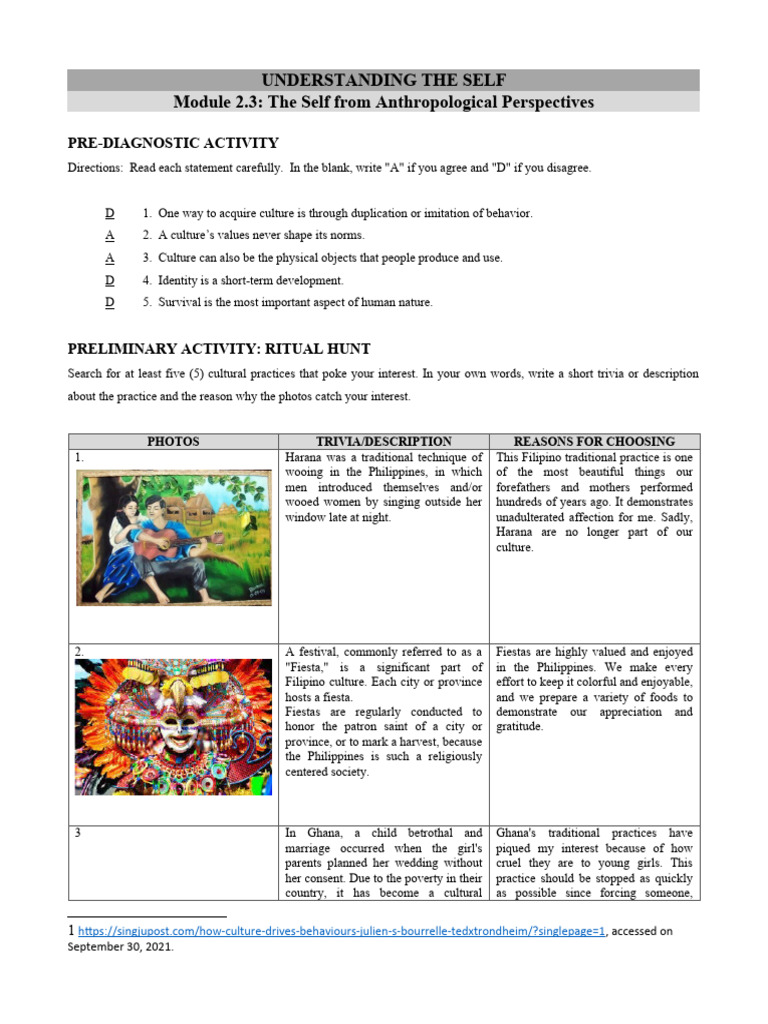 Cultural Practices and Identity Insights | PDF | Festival