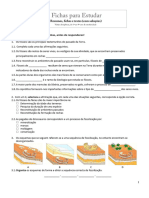 Ficha Ciencias 7 Ano Fosseis2.0