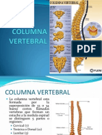 Columna Vertebral